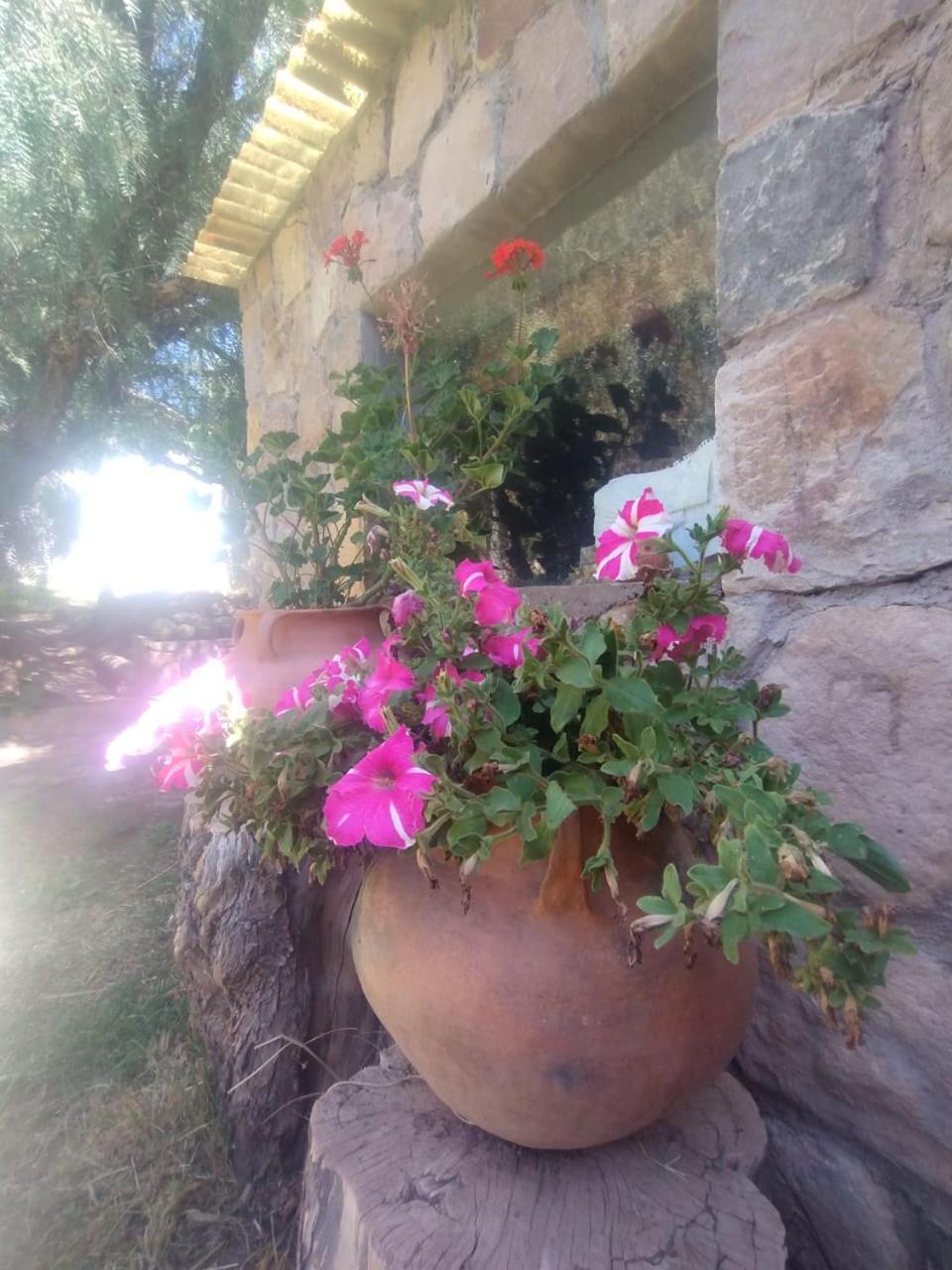 La Casita Hotel Tilcara Bagian luar foto