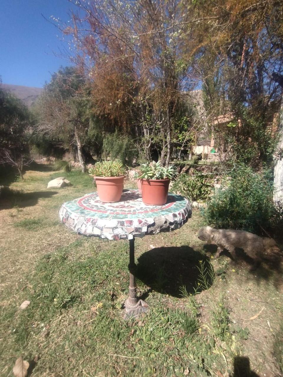 La Casita Hotel Tilcara Bagian luar foto